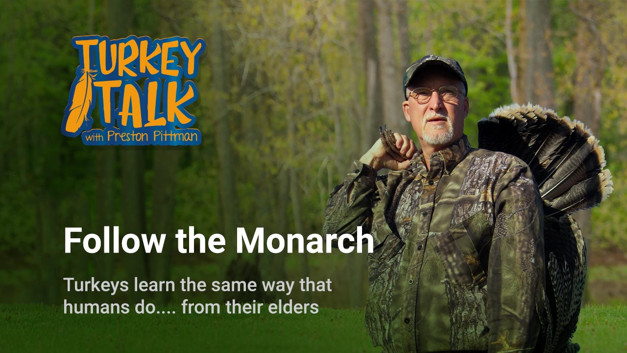 Preston Pittman – Turkey Talk – Follow the Monarch