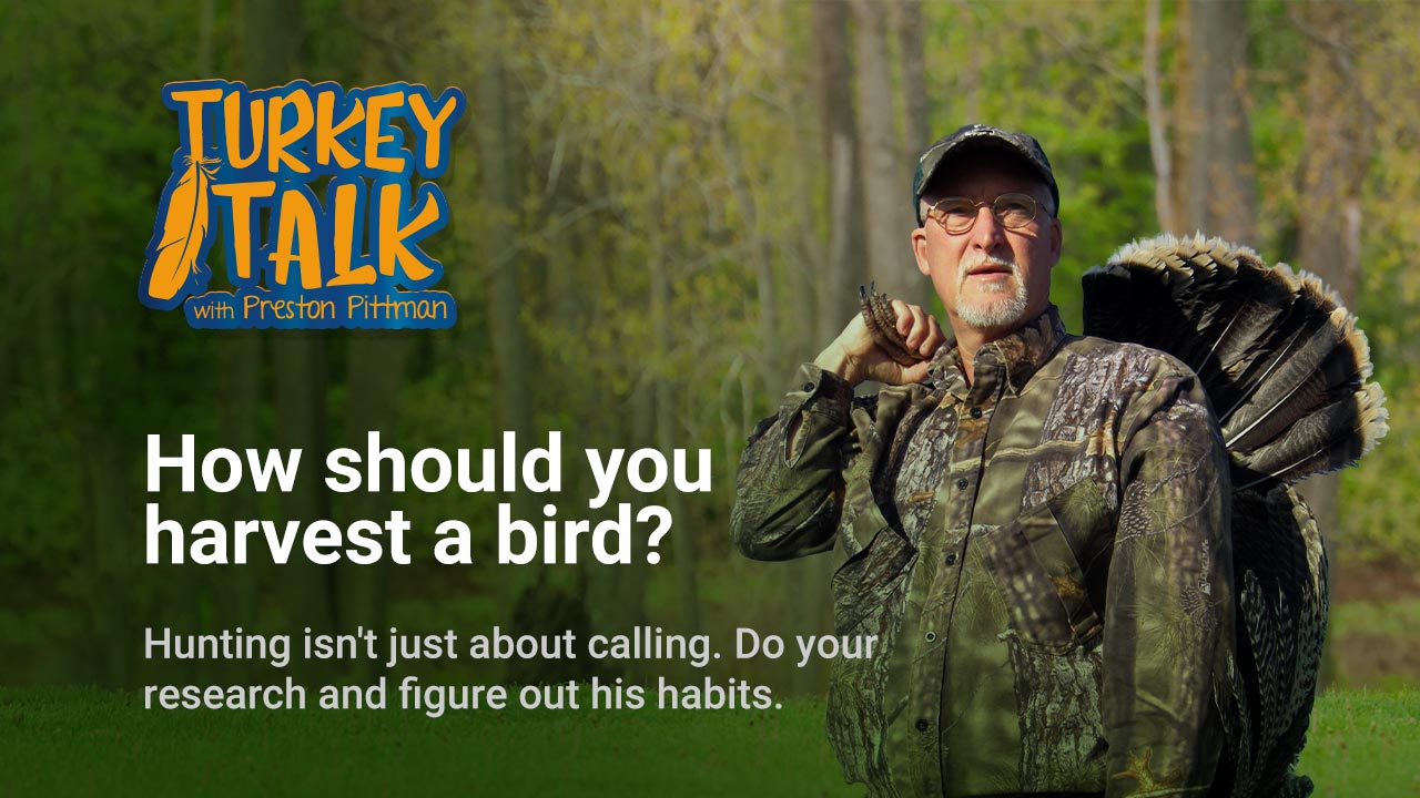 Preston Pittman – Turkey Talk – How should you harvest a bird