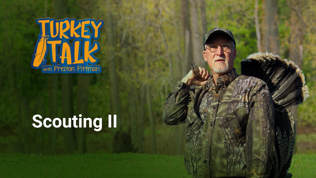 Preston Pittman – Turkey Talk – Scouting II