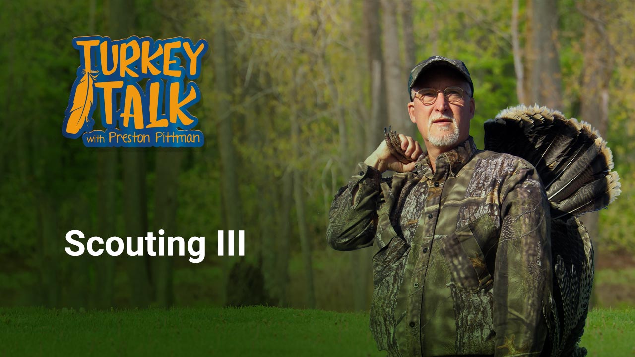 Preston Pittman – Turkey Talk – Scouting III