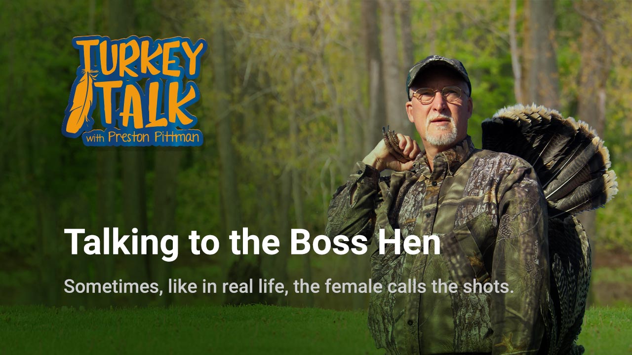 Preston Pittman – Turkey Talk – Talking to the Boss Hen