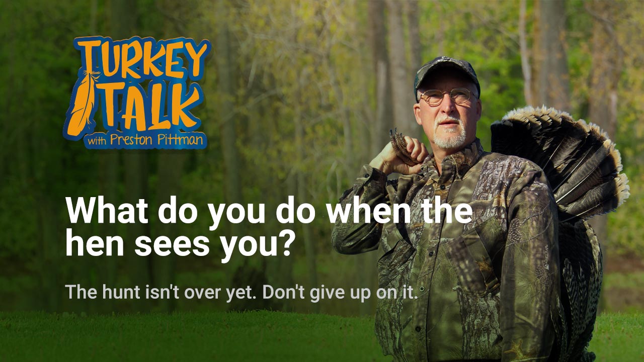 Preston Pittman – Turkey Talk – What do you do when the hen sees you?