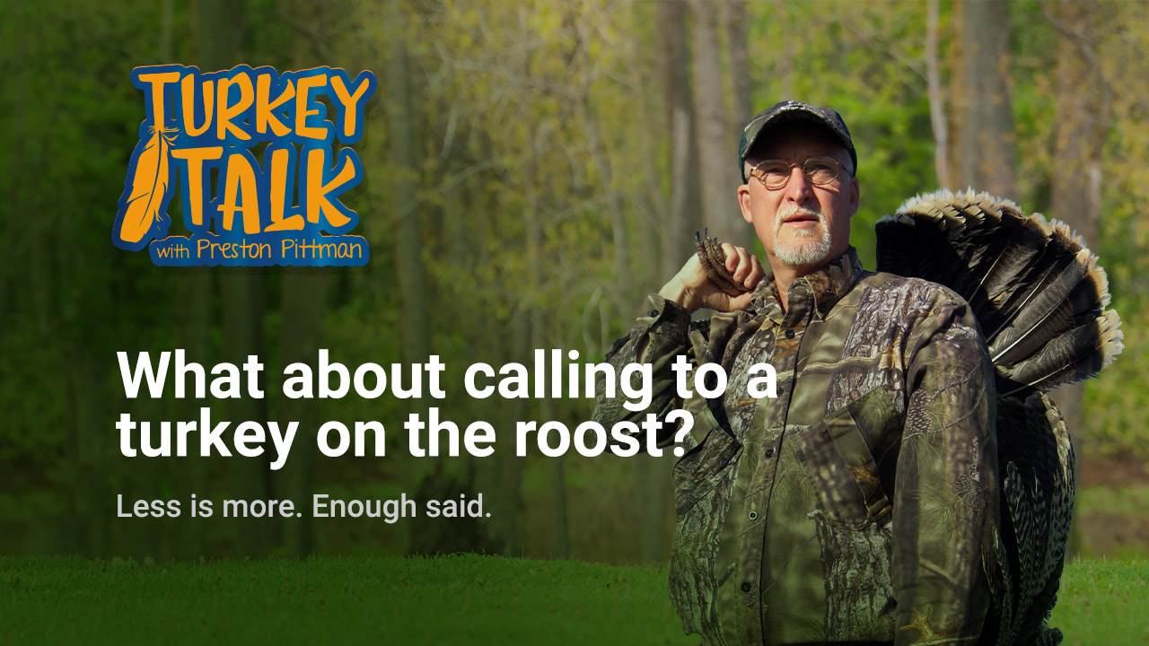 Preston Pittman – Turkey Talk – What about Calling to a turkey on the roost?